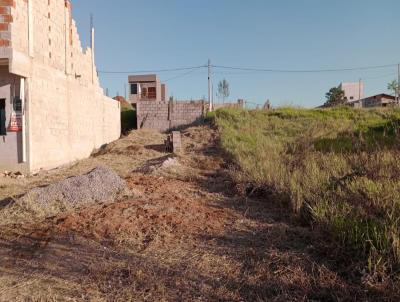 Lote para Venda, em Taubaté, bairro Areão